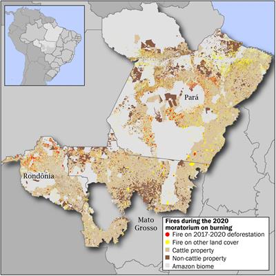 Brazil’s Cattle Sector Played Large Role in Fires During 2020 Moratorium